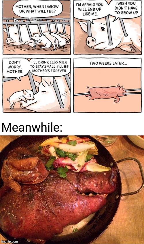 Pigs | Meanwhile: | image tagged in roasted pig head,pigs,memes,comics,comics/cartoons,pig | made w/ Imgflip meme maker