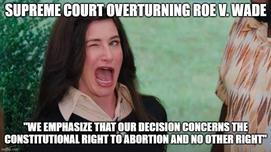 SCOTUS overturning Roe | SUPREME COURT OVERTURNING ROE V. WADE; "WE EMPHASIZE THAT OUR DECISION CONCERNS THE CONSTITUTIONAL RIGHT TO ABORTION AND NO OTHER RIGHT" | image tagged in scotus,roevwade | made w/ Imgflip meme maker