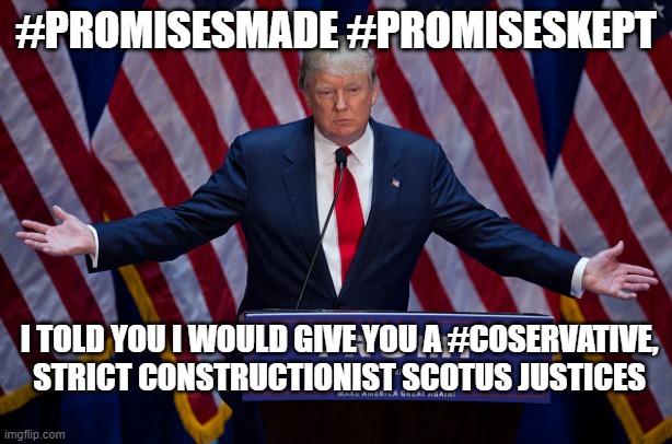 Winning | #PROMISESMADE #PROMISESKEPT; I TOLD YOU I WOULD GIVE YOU A #COSERVATIVE, STRICT CONSTRUCTIONIST SCOTUS JUSTICES | image tagged in donald trump | made w/ Imgflip meme maker