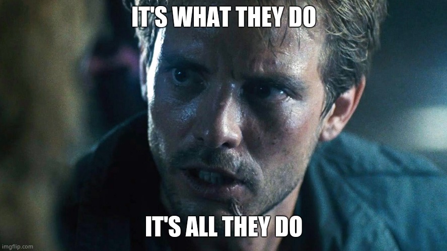 kyle reese terminator | IT'S WHAT THEY DO IT'S ALL THEY DO | image tagged in kyle reese terminator | made w/ Imgflip meme maker