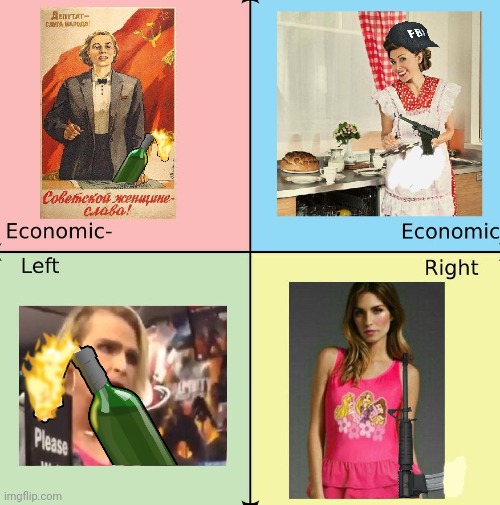 Tonight's political compass. | image tagged in get,your molotov,cocktails,ready,loot and burn | made w/ Imgflip meme maker