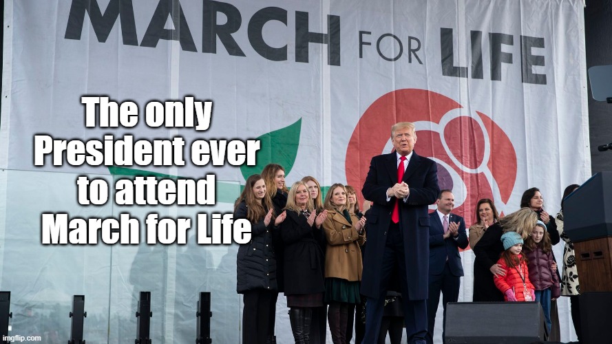 The only President ever to attend March for Life | image tagged in donald trump,trump,pro life,supreme court,babies | made w/ Imgflip meme maker