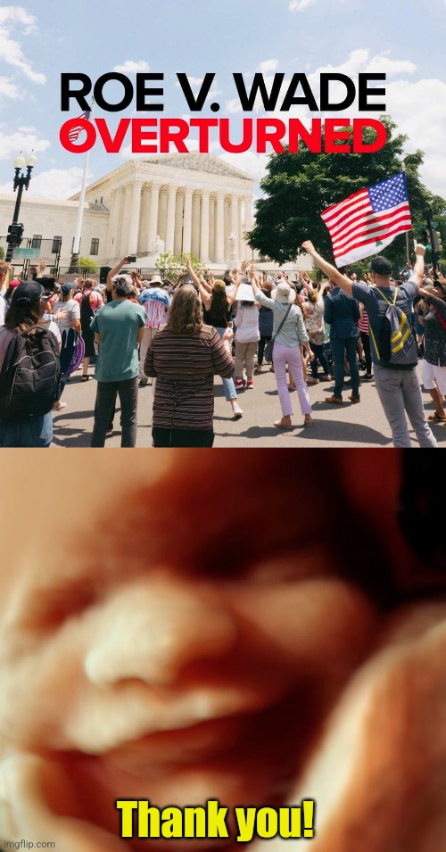 A step in the right direction | Thank you! | image tagged in pro life,victory,abortion is murder,roe vs wade | made w/ Imgflip meme maker