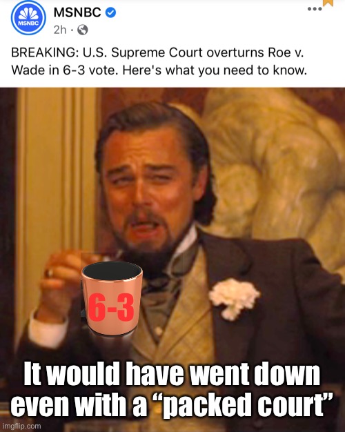 I guess that court in Mississippi should have allowed their 15 week ban | 6-3; It would have went down even with a “packed court” | image tagged in memes,laughing leo | made w/ Imgflip meme maker