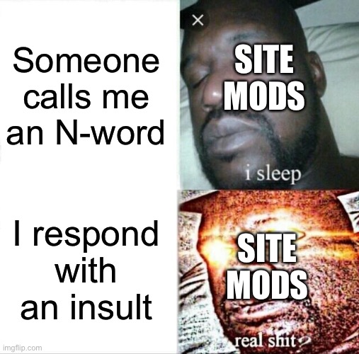 Sleeping Shaq | Someone calls me an N-word; SITE MODS; I respond with an insult; SITE MODS | image tagged in memes,sleeping shaq | made w/ Imgflip meme maker