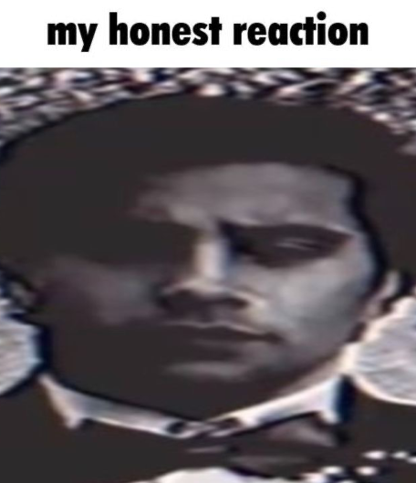 my honest reaction Blank Meme Template