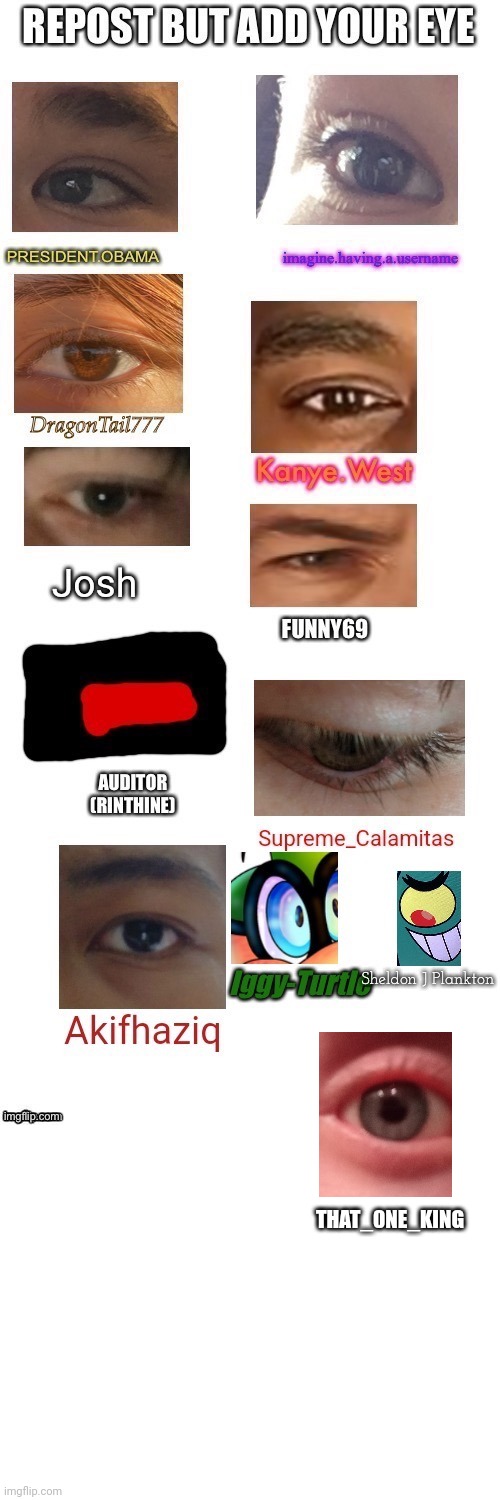THAT_0NE_KING | image tagged in blank white template | made w/ Imgflip meme maker