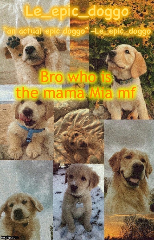 Doggo temp by doggo. Wait what that’s confusing | Bro who is the mama Mia mf | image tagged in doggo temp by doggo wait what that s confusing | made w/ Imgflip meme maker