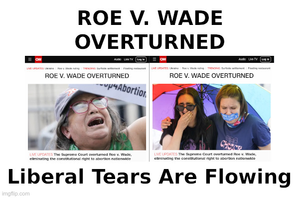Liberal Tears Are Flowing | image tagged in democrats,abortion,liberal tears,supreme court,roe v wade,pro life | made w/ Imgflip meme maker