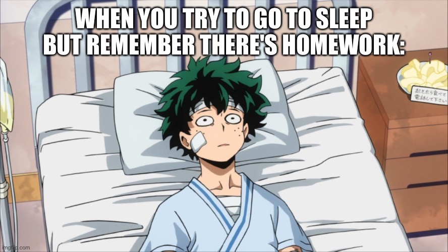 deku hospital bed | WHEN YOU TRY TO GO TO SLEEP BUT REMEMBER THERE'S HOMEWORK: | image tagged in deku hospital bed | made w/ Imgflip meme maker