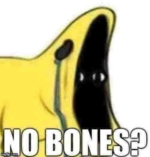 NO BONES?? | image tagged in no bones | made w/ Imgflip meme maker