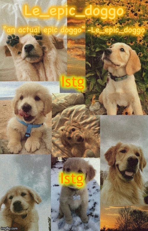 Doggo temp by doggo. Wait what that’s confusing | Istg; Istg | image tagged in doggo temp by doggo wait what that s confusing | made w/ Imgflip meme maker