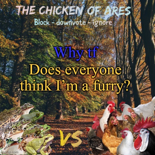 Chicken of Ares announces crap for everyone | Why tf; Does everyone think I’m a furry? | image tagged in chicken of ares announces crap for everyone | made w/ Imgflip meme maker