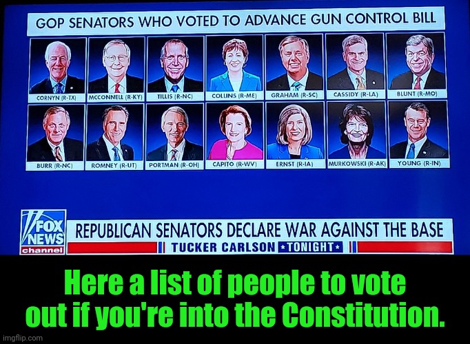 Vote em out! | Here a list of people to vote out if you're into the Constitution. | image tagged in rino,to do list | made w/ Imgflip meme maker