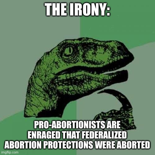 Case aborted |  THE IRONY:; PRO-ABORTIONISTS ARE ENRAGED THAT FEDERALIZED ABORTION PROTECTIONS WERE ABORTED | image tagged in memes,philosoraptor,abortion,abortion is murder | made w/ Imgflip meme maker