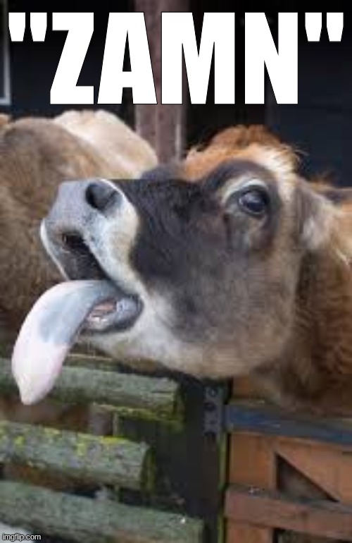 "ZAMN" | made w/ Imgflip meme maker