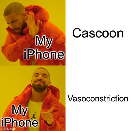 Ah, Yes, Vasoconstriction, #268 In The PokeDex. | Cascoon; My iPhone; Vasoconstriction; My iPhone | image tagged in memes,drake hotline bling | made w/ Imgflip meme maker