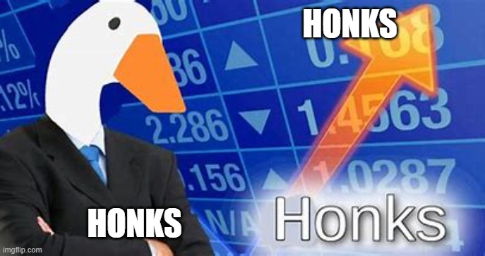 Honks? | HONKS; HONKS | image tagged in memes | made w/ Imgflip meme maker