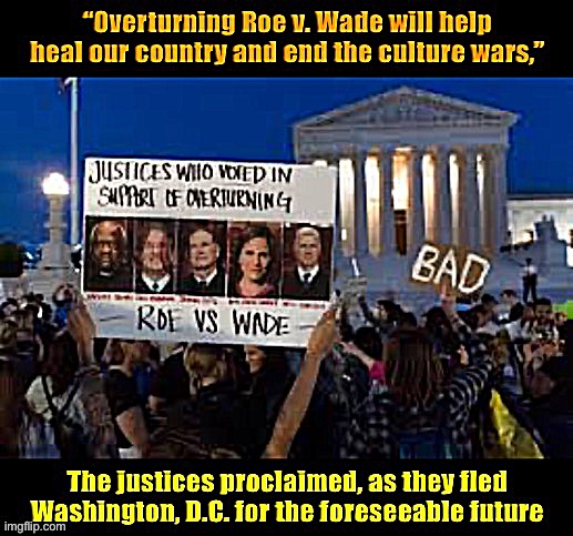 SCOTUS hypocrisy abortion | image tagged in scotus hypocrisy abortion | made w/ Imgflip meme maker