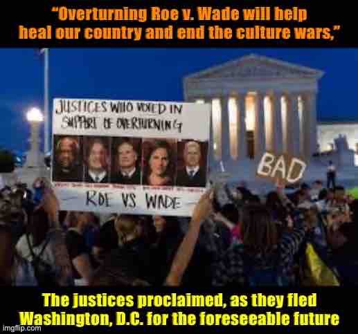 SCOTUS hypocrisy abortion | image tagged in scotus hypocrisy abortion | made w/ Imgflip meme maker