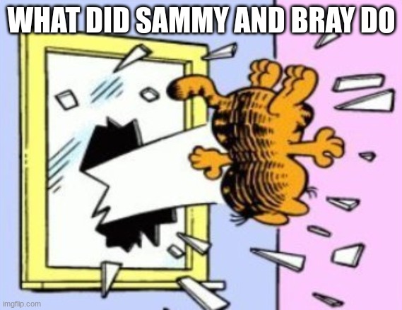 Garfield being thrown out of the window | WHAT DID SAMMY AND BRAY DO | image tagged in garfield being thrown out of the window | made w/ Imgflip meme maker