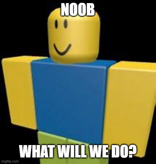 NOOB. WHAT WILL WE DO | NOOB; WHAT WILL WE DO? | image tagged in meme,epic,noob | made w/ Imgflip meme maker