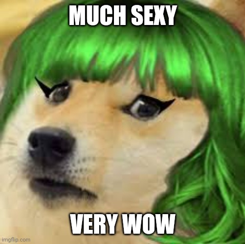 Green hair doge | MUCH SEXY VERY WOW | image tagged in green hair doge | made w/ Imgflip meme maker