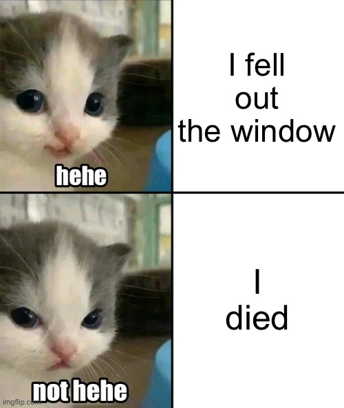 Hehe NOT | I fell out the window; I died | image tagged in cute cat hehe and not hehe | made w/ Imgflip meme maker