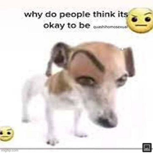 why do people think it's okay to be x | quashihomosexual | image tagged in why do people think it's okay to be x | made w/ Imgflip meme maker