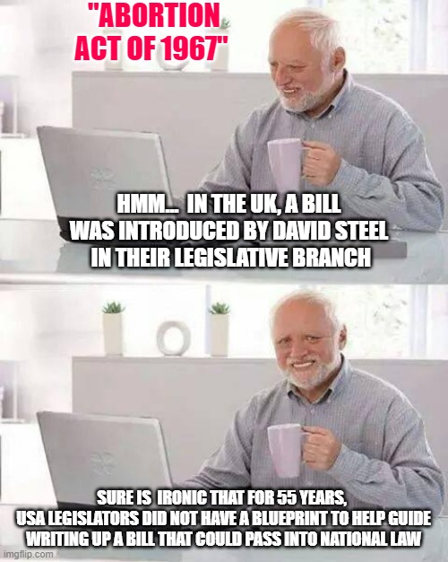 Never the Right Time to Miss An Opportunity for Half a Century | "ABORTION ACT OF 1967"; HMM...  IN THE UK, A BILL
WAS INTRODUCED BY DAVID STEEL
 IN THEIR LEGISLATIVE BRANCH; SURE IS  IRONIC THAT FOR 55 YEARS, 
USA LEGISLATORS DID NOT HAVE A BLUEPRINT TO HELP GUIDE WRITING UP A BILL THAT COULD PASS INTO NATIONAL LAW | image tagged in abortion,biden,dianne feinstein,elizabeth warren,clinton,aoc | made w/ Imgflip meme maker