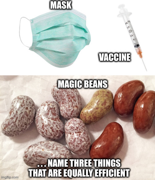 Efficiency | image tagged in mask,vaccine | made w/ Imgflip meme maker