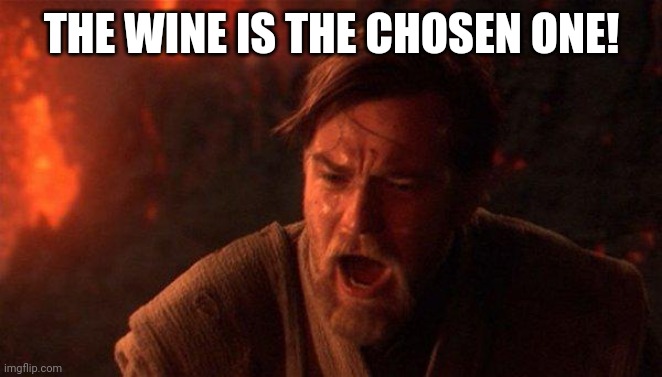 You Were The Chosen One (Star Wars) Meme | THE WINE IS THE CHOSEN ONE! | image tagged in memes,you were the chosen one star wars | made w/ Imgflip meme maker