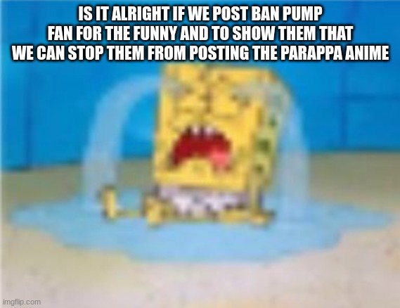 spumgelop cryne | IS IT ALRIGHT IF WE POST BAN PUMP FAN FOR THE FUNNY AND TO SHOW THEM THAT WE CAN STOP THEM FROM POSTING THE PARAPPA ANIME | image tagged in spumgelop cryne | made w/ Imgflip meme maker