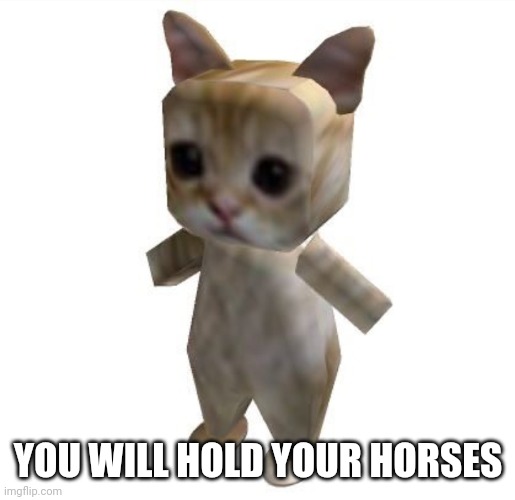 Dumb cat | YOU WILL HOLD YOUR HORSES | image tagged in dumb cat | made w/ Imgflip meme maker