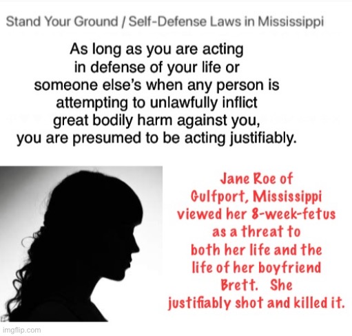 Stood Her Ground | image tagged in abortion | made w/ Imgflip meme maker