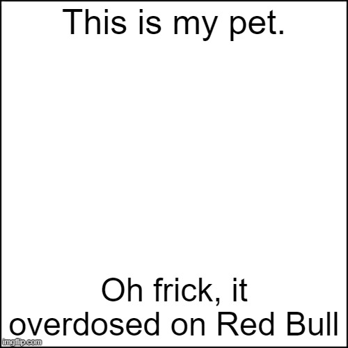 ReD bUlL gIvEs YoU wInGs |  This is my pet. Oh frick, it overdosed on Red Bull | image tagged in meme remover,red bull,gives you wings,overdose | made w/ Imgflip meme maker