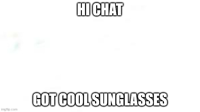 wide white |  HI CHAT; GOT COOL SUNGLASSES | image tagged in wide white | made w/ Imgflip meme maker