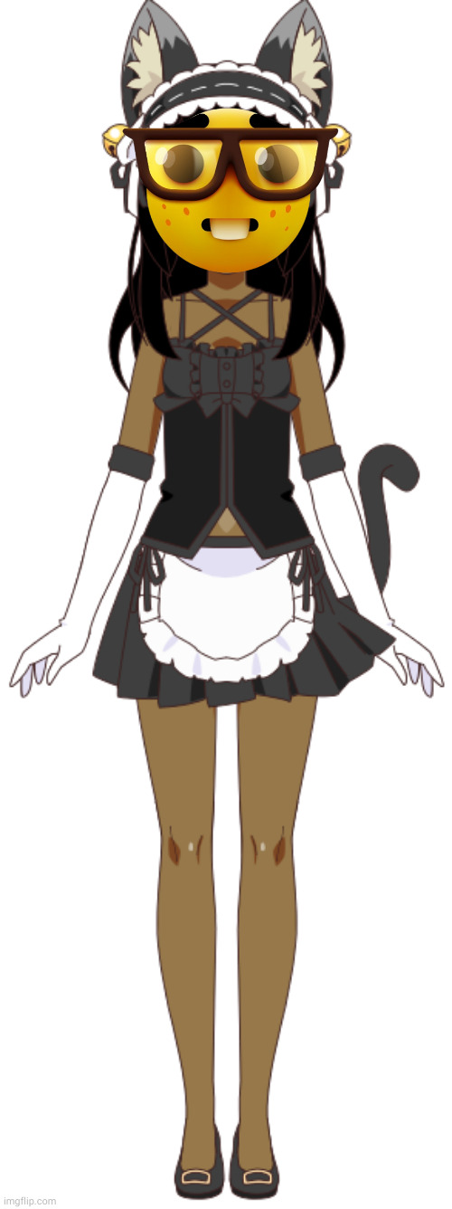 High Quality cat maid nerd Blank Meme Template