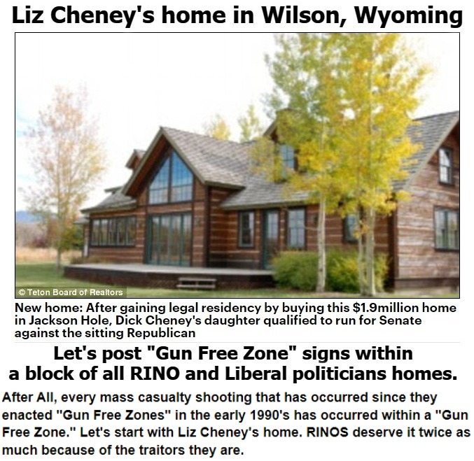Let's post "Gun Free Zone" signs within a block of all RINO and Liberal politicians homes! | image tagged in gun free zone,rinos,liberals,gun control,2nd amendment,liz cheney | made w/ Imgflip meme maker