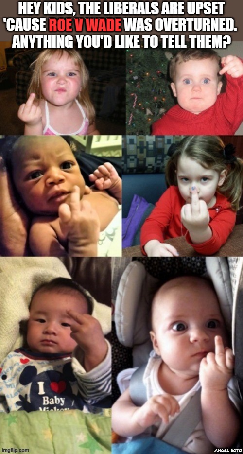 flipping babies |  HEY KIDS, THE LIBERALS ARE UPSET
'CAUSE ROE V WADE WAS OVERTURNED. 
ANYTHING YOU'D LIKE TO TELL THEM? ROE V WADE | image tagged in roe vs wade,abortion,liberals,babies,kids,flipping off | made w/ Imgflip meme maker