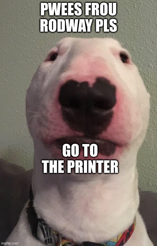 Walter | PWEES FROU RODWAY PLS; GO TO THE PRINTER | image tagged in walter | made w/ Imgflip meme maker