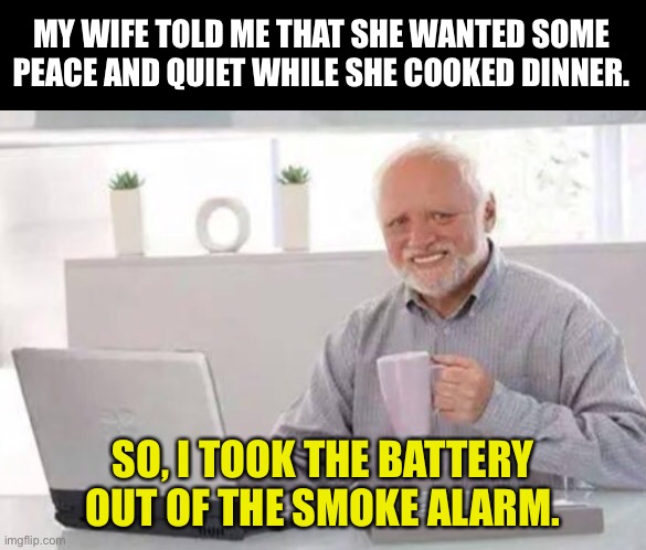 Quiet | MY WIFE TOLD ME THAT SHE WANTED SOME PEACE AND QUIET WHILE SHE COOKED DINNER. SO, I TOOK THE BATTERY OUT OF THE SMOKE ALARM. | image tagged in harold | made w/ Imgflip meme maker