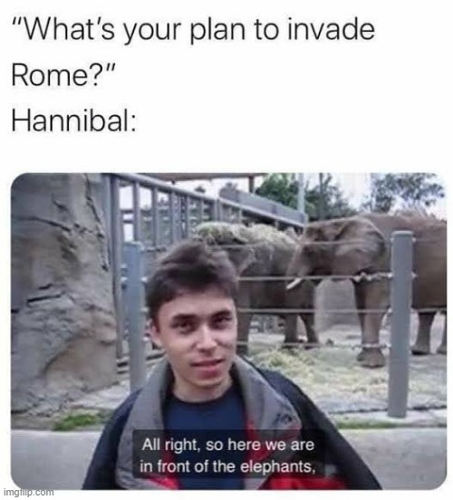More Like Animal Tanks | image tagged in history memes | made w/ Imgflip meme maker