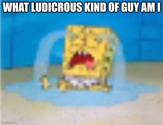 spumgelop cryne | WHAT LUDICROUS KIND OF GUY AM I | image tagged in spumgelop cryne | made w/ Imgflip meme maker