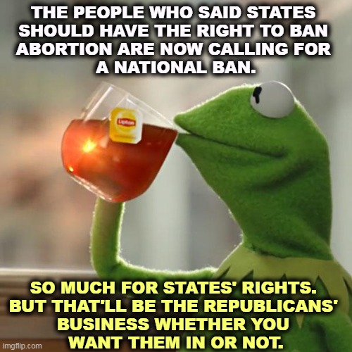 That's None of My Business, but the GOP Will Make It Yours. | THE PEOPLE WHO SAID STATES 
SHOULD HAVE THE RIGHT TO BAN 
ABORTION ARE NOW CALLING FOR 
A NATIONAL BAN. SO MUCH FOR STATES' RIGHTS. 
BUT THAT'LL BE THE REPUBLICANS' 
BUSINESS WHETHER YOU 
WANT THEM IN OR NOT. | image tagged in memes,but that's none of my business,kermit the frog,abortion,national,freedom | made w/ Imgflip meme maker