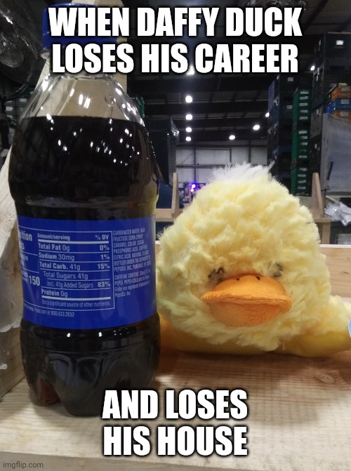 Drunk Duck Meme | WHEN DAFFY DUCK LOSES HIS CAREER; AND LOSES HIS HOUSE | image tagged in drunk duck,daffy duck,homeless | made w/ Imgflip meme maker
