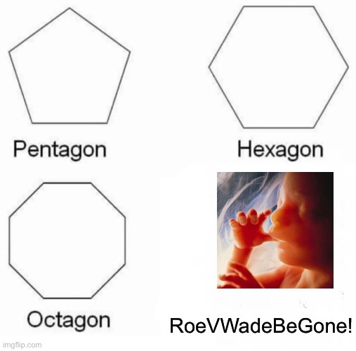 Pentagon Hexagon Octagon Meme | RoeVWadeBeGone! | image tagged in memes,pentagon hexagon octagon | made w/ Imgflip meme maker