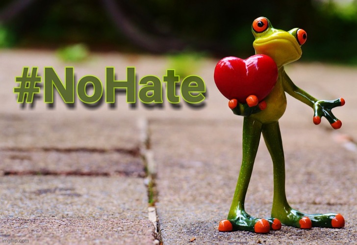 no hate frog | image tagged in no hate frog | made w/ Imgflip meme maker