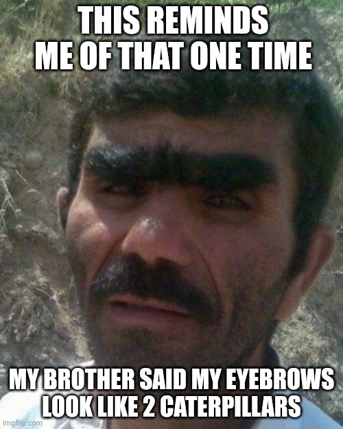 Eyebrows | THIS REMINDS ME OF THAT ONE TIME; MY BROTHER SAID MY EYEBROWS LOOK LIKE 2 CATERPILLARS | image tagged in eyebrows | made w/ Imgflip meme maker