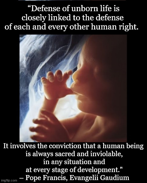 All Lives Matter. |  “Defense of unborn life is closely linked to the defense of each and every other human right. It involves the conviction that a human being 
is always sacred and inviolable,
 in any situation and 
at every stage of development."
– Pope Francis, Evangelii Gaudium | image tagged in baby in womb,roevwade,pope francis,all lives matter,life,sacred | made w/ Imgflip meme maker